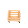 Adobe Express file (3)